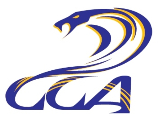 Academy CCA logo