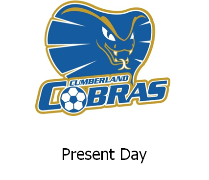 Present day cobra logo